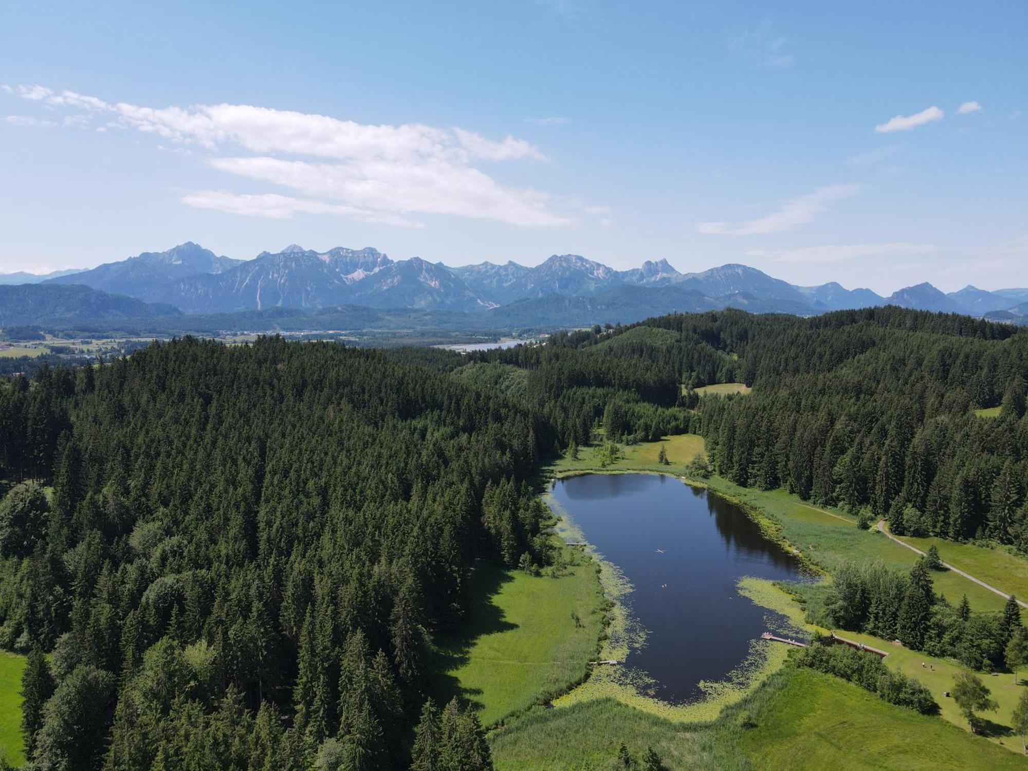 Chalet - Ferienwohnungen - Biohof Stoeger - Panoramasuedbalkon - Grandiose Aussicht Auf See, Berge Und Schloss Neuschwanstein Rieden Eksteriør bilde