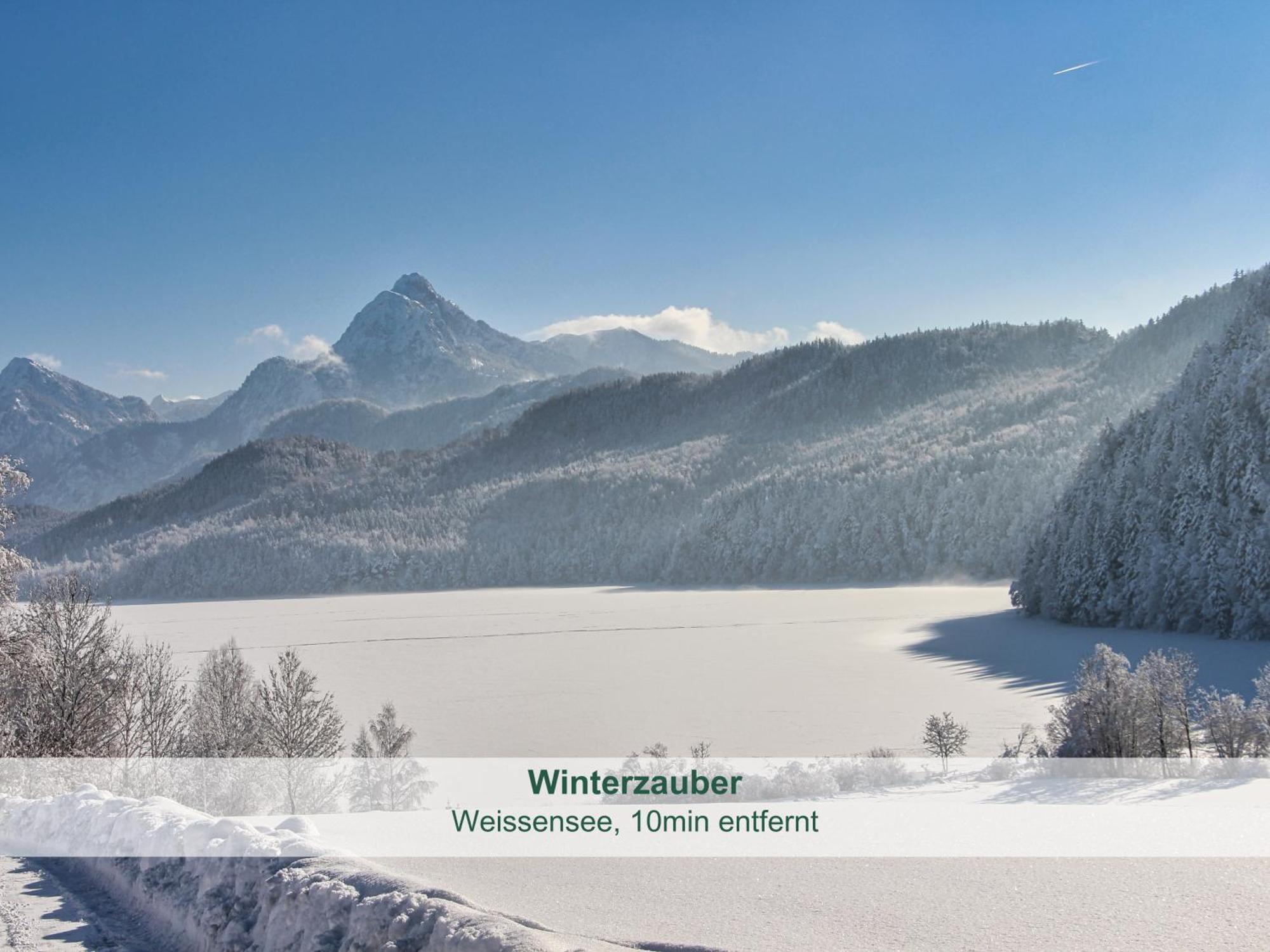 Chalet - Ferienwohnungen - Biohof Stoeger - Panoramasuedbalkon - Grandiose Aussicht Auf See, Berge Und Schloss Neuschwanstein Rieden Eksteriør bilde
