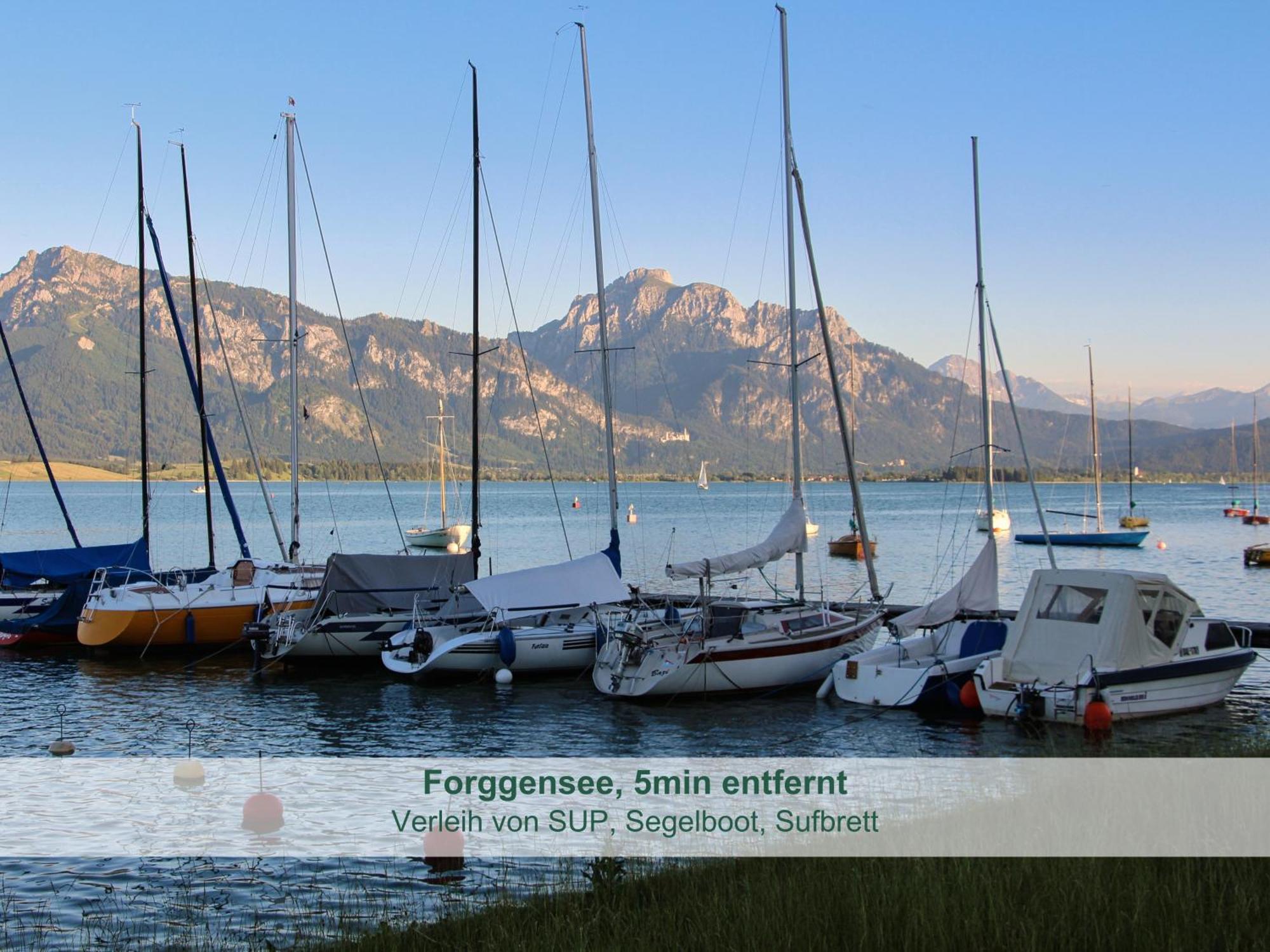 Chalet - Ferienwohnungen - Biohof Stoeger - Panoramasuedbalkon - Grandiose Aussicht Auf See, Berge Und Schloss Neuschwanstein Rieden Eksteriør bilde